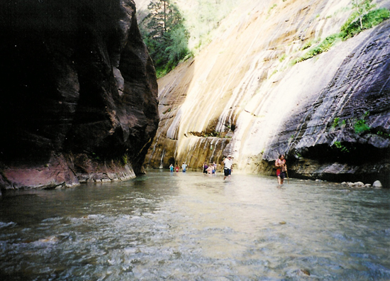 Burnett Family Reunion in Zion National Park